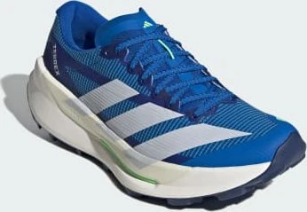adidas Terrex Agravic TT blue/dash grey/lime burst (Herren)