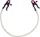 You2Toys Bad Kitty Nippelklemme violett/silber (0 523143 0000)