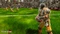 Blood Bowl 2 - Norse (Download) (Add-on) (PC) Vorschaubild