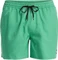 Quiksilver Everyday Deluxe 15" Badeshorts (Herren) Vorschaubild