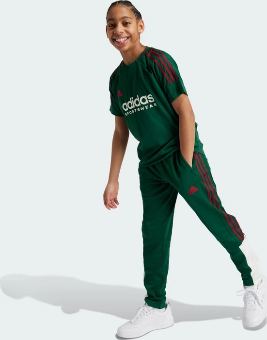 adidas Tiro Nations Pack T-Shirt kurzarm dark green/collegiate burgundy/cloud white (Junior)