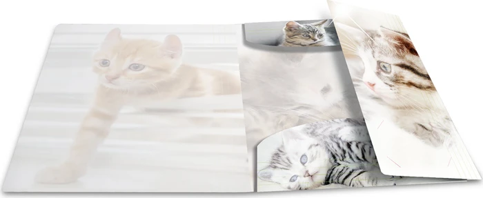 Herma Glossy Tiere Sammelmappe, A4, Katzen, 3er-Pack
