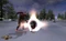 Craft of Gods (MMOG) (PC) Vorschaubild