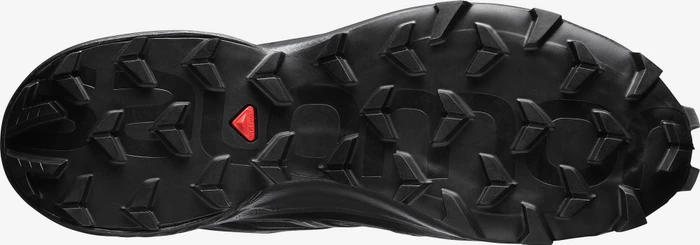 Salomon Speedcross 5 GTX black/phantom (Herren)