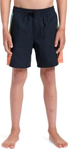 Quiksilver Everyday Holmes 14" Badeshorts schwarz (Junior)