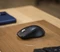 Trust Treva Hyperwheel Multi-Device Wireless Mouse schwarz, USB/Bluetooth Vorschaubild