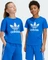 adidas Trefoil T-Shirt kurzarm blau (Junior) Vorschaubild