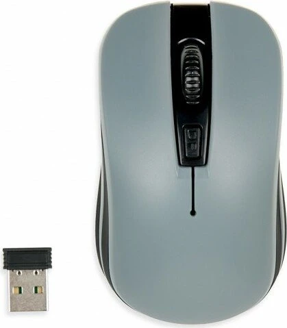 iBox Loriini