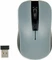 iBox Loriini Vorschaubild