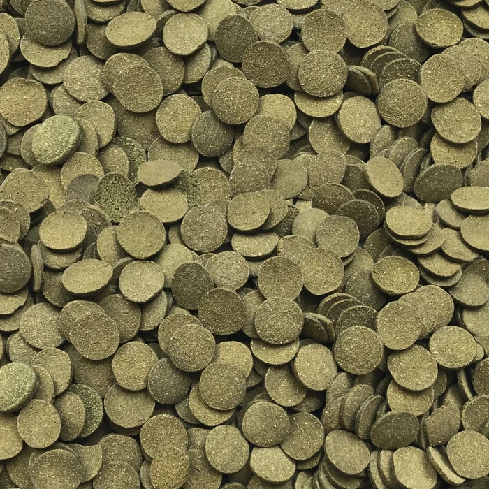 Fluval Bug Bites Algenchips, Fischfutter mit Insektenlarven, 100g