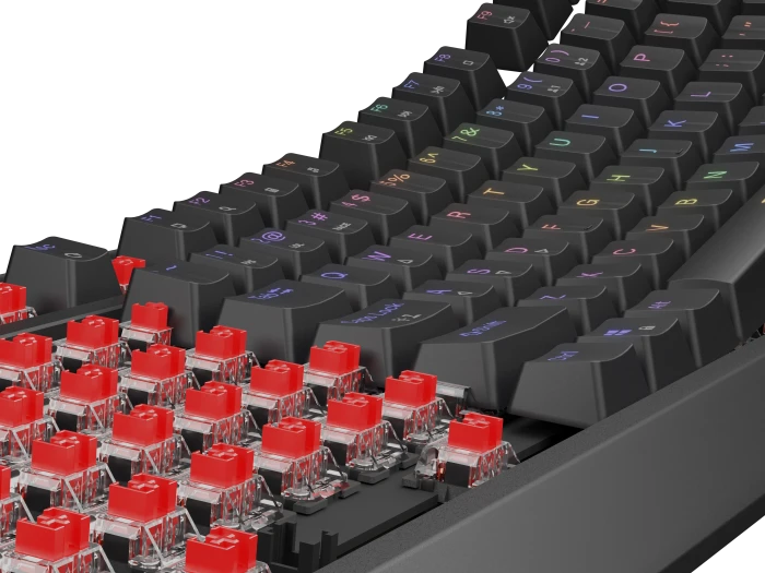 Genesis Thor 230 TKL, schwarz, LEDs RGB, hot-swap, Gaote Outemu BROWN, USB, US