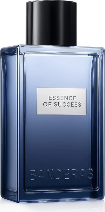 Antonio Banderas Essence of Success Eau de Toilette, 100ml