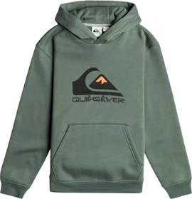 Quiksilver Big Logo Hoodie laurel wreath (Junior)