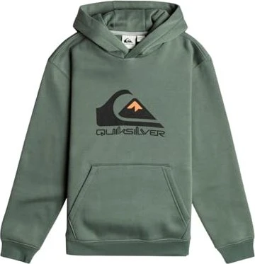 Quiksilver Big Logo Hoodie laurel wreath (Junior)