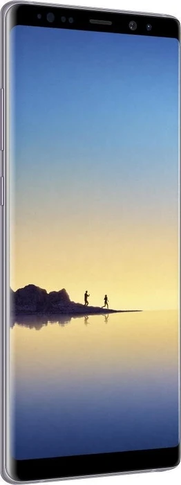 Samsung Galaxy Note 8 N950F grau