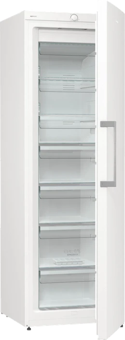 Gorenje FN619EEW5