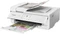 Canon PIXMA TS9551C weiß, Tinte, mehrfarbig Vorschaubild