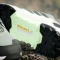 adidas Terrex AX4 silver green/core black/crystal jade (Herren) Vorschaubild