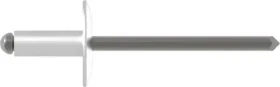 Gesipa Alu/Stahl Großkopf Blindniete 4.8x25mm, 250 Stück
