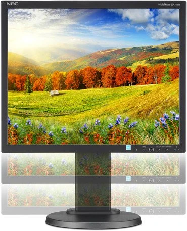 NEC MultiSync EA193Mi-BK, schwarz, 19"