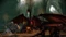 Dragon Age: Origins - Awakening (Add-on) (PC) Vorschaubild