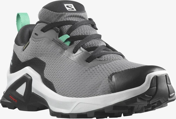 Salomon X Reveal 2 GTX quiet shade/black/mint leaf (Damen)