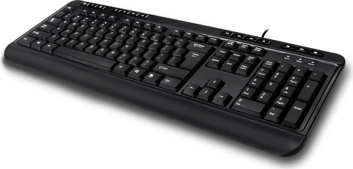 Adesso Multimedia Desktop Tastatur mit 3-Port Hub, schwarz, USB, US