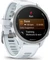 Garmin Forerunner 170 Music whitestone/whitestone-cloud blue Vorschaubild