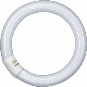 Osram Lumilux T9 32W/840 G10q