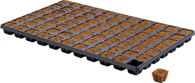 Eazy Plug CT77 Anzuchttray Pflanzkasten