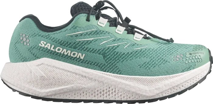 Salomon Aero Blaze 4 Grvl GTX (Damen)