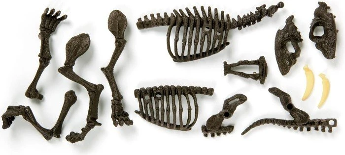Clementoni Galileo Auf den Spuren des Smilodon