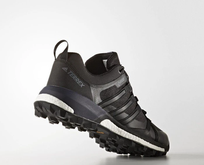 adidas Terrex Skychaser GTX core black/footwear white (Herren)
