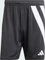 adidas Fortore 23 Shorts schwarz/weiß (Herren) Vorschaubild