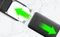 RaidSonic Icy Box IB-246-C31-G, USB-C 3.1 Vorschaubild