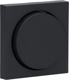 Gira System 55 Abdeckung mit Knopf, anthrazit