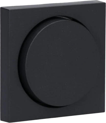 Gira System 55 Abdeckung mit Knopf, anthrazit
