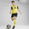 Puma BVB Borussia Dortmund 2024/2025 Heimtrikot (Herren) Vorschaubild