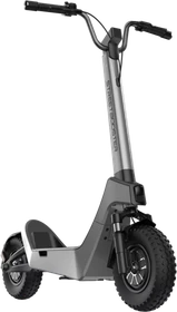 Streetbooster Pollux Elektro-Roller silber