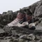 adidas Eastrail 2.0 Mid Rain.RDY warm clay/putty mauve/preloved fig (Damen) Vorschaubild