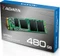 ADATA Premier SP550 480GB, M.2 2280 / B-M-Key / SATA 6Gb/s Vorschaubild