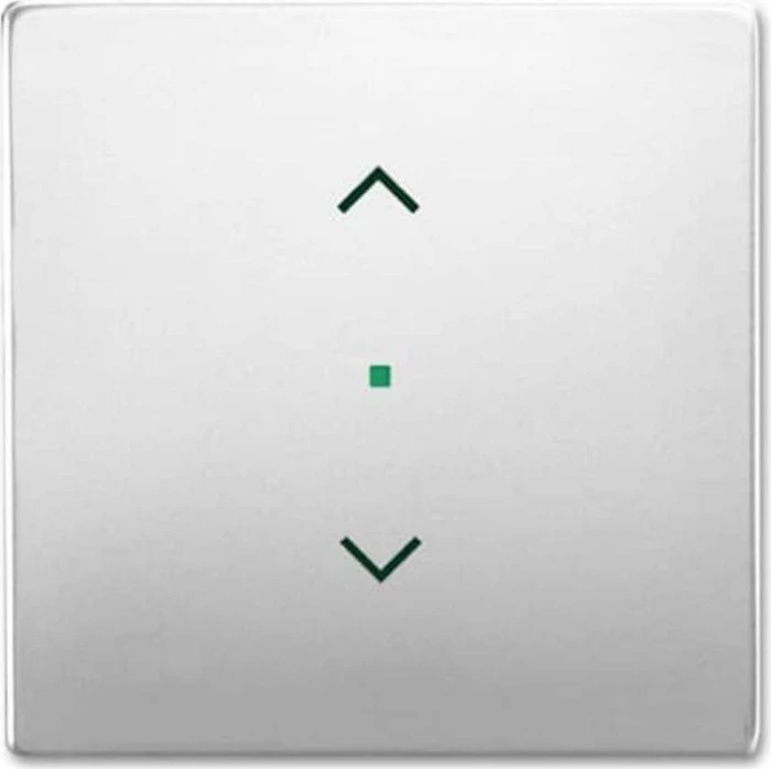 Busch-Jaeger Wippe 1-fach mit Symbol "Jalousie", edelstahl