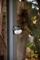 Brennenstuhl OLI 310 AB mit Bluetooth Lautsprecher Camping Laterne Vorschaubild