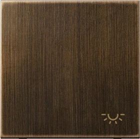 Jung Serie LS Wippe Symbol Licht, Messing antik