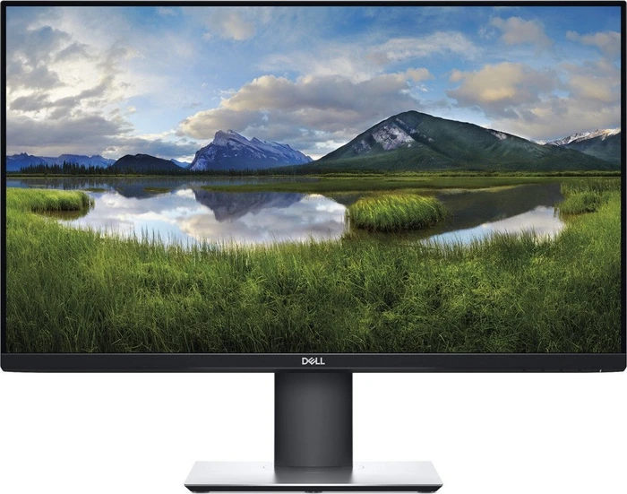 Dell P-Serie 2019