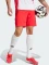 adidas Tiro 25 Pro Training Trainingshose kurz pure ruby (Herren) Vorschaubild