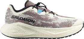 Salomon Aero Glide 4 GRVL vanilla ice/black (Herren)