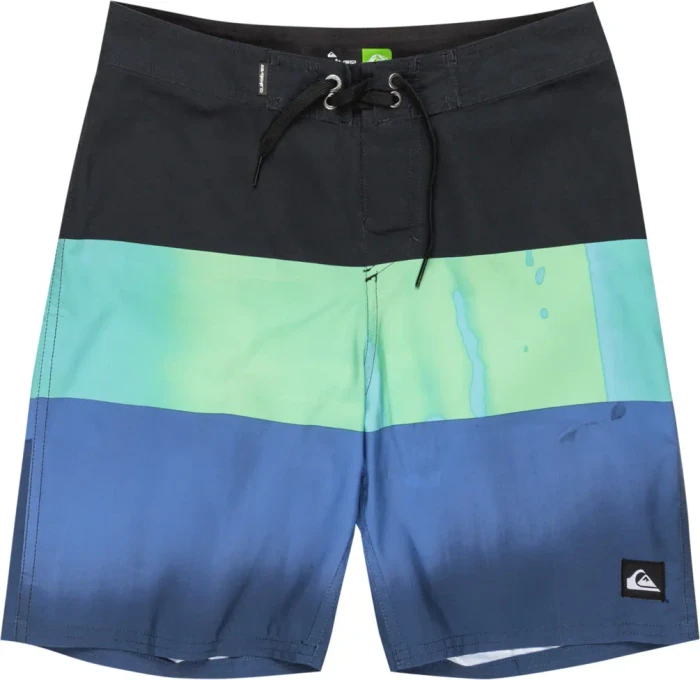 Quiksilver Everyday Panel 17" Badeshorts nebulas blue/bloomfade (Junior)