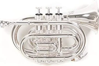 Roy Benson Bb-Taschentrompete PT-101S
