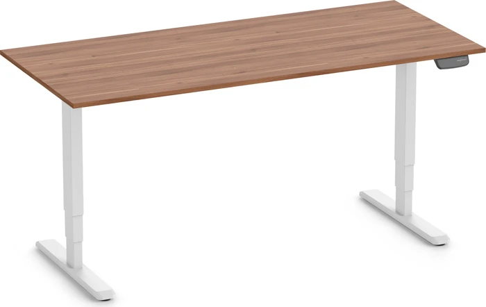 Ergolutions Primus elektrisch höhenverstellbarer Sitz-Steh-Schreibtisch 180x80cm Nussbaum/weiß